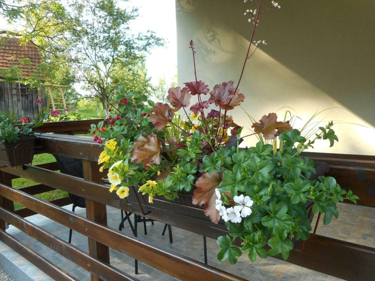 Holiday Home, Apartman Obajdin Slunj Exterior foto